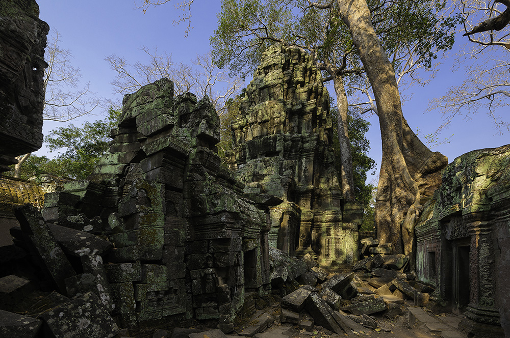 Ta Prohm Temple in Angkor Thom